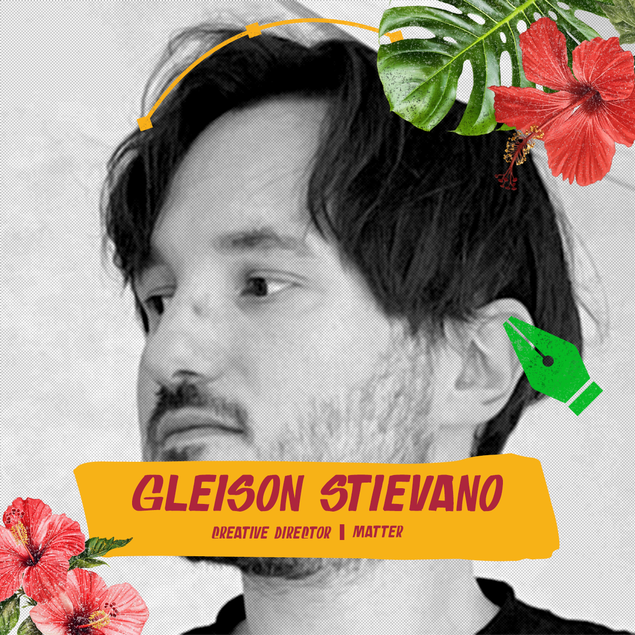 GLEISON STIEVANO