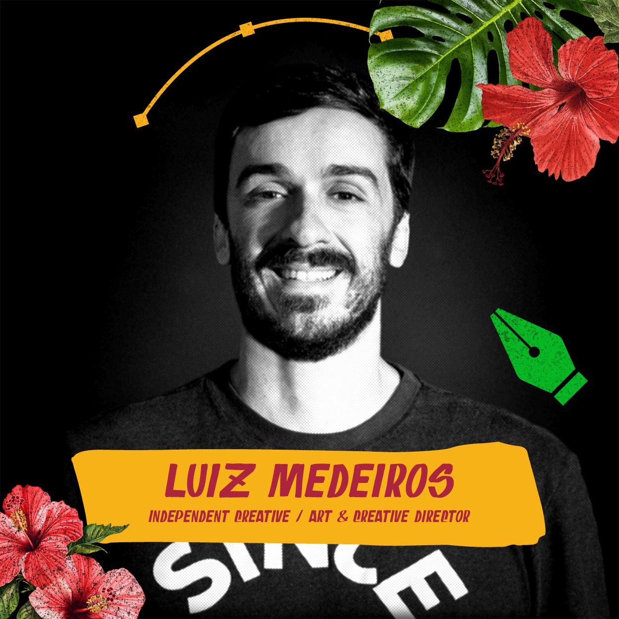 LUIZ MEDEIROS